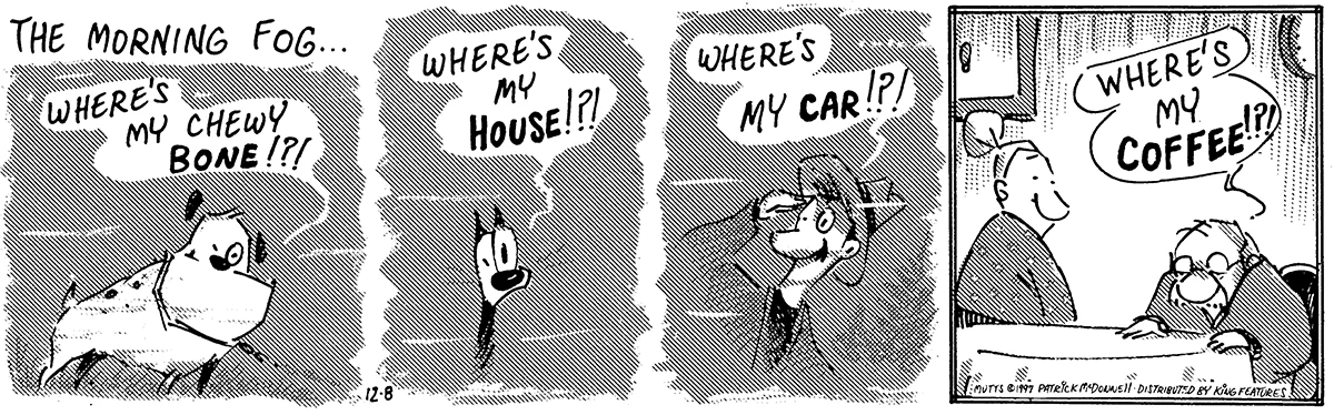 December 8 1997, Daily Comic Strip