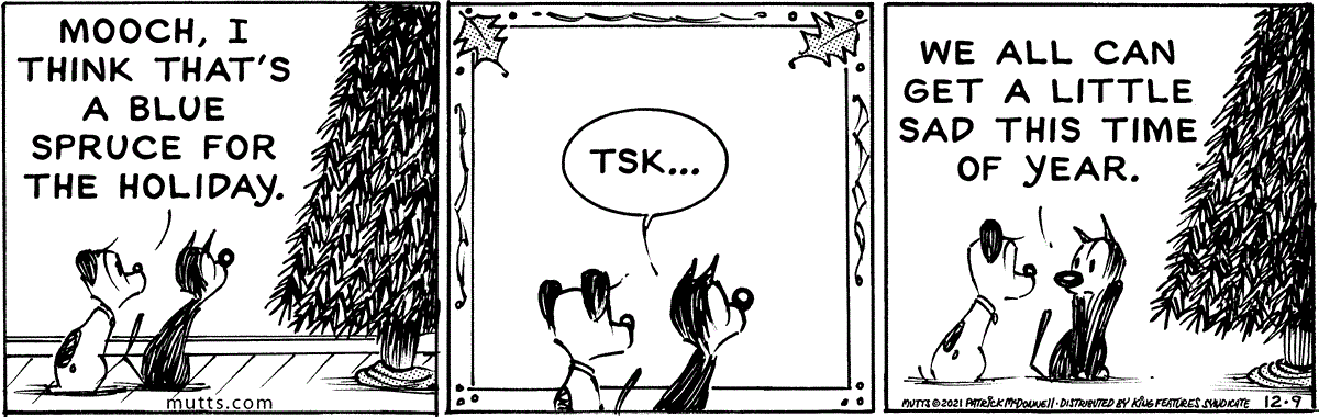 December 9 2021, Daily Comic Strip