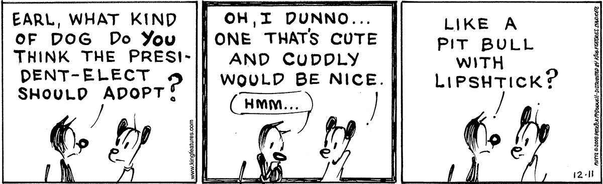 December 11 2008, Daily Comic Strip