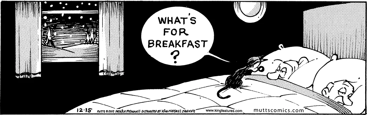December 15 2012, Daily Comic Strip
