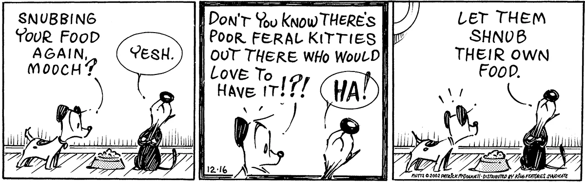 December 16 2002, Daily Comic Strip