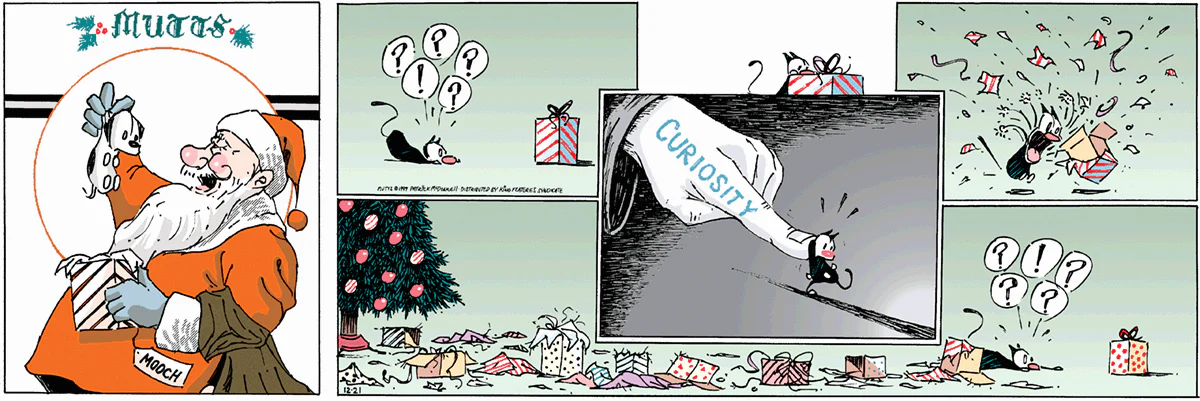 December 21 1997, Sunday Comic Strip