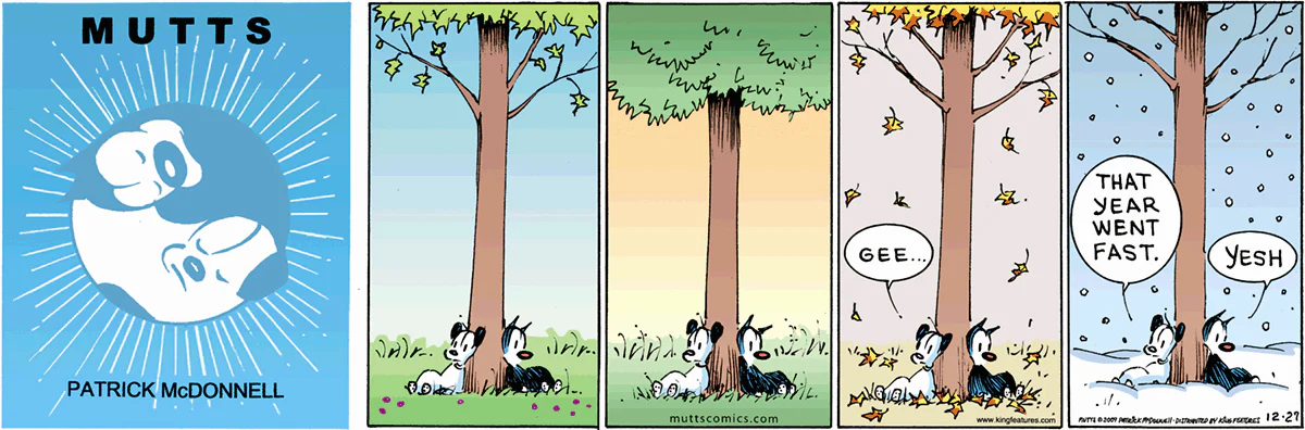 December 27 2009, Sunday Comic Strip