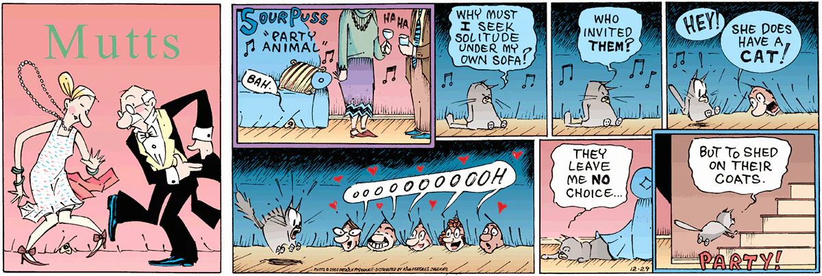 December 29 2002, Sunday Comic Strip