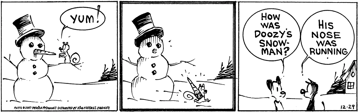 December 29 2007, Daily Comic Strip