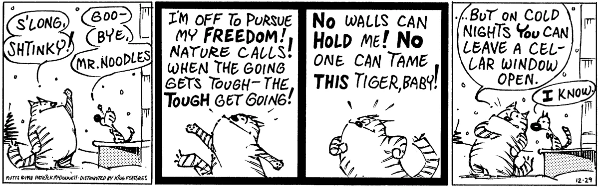 December 29 1998, Daily Comic Strip