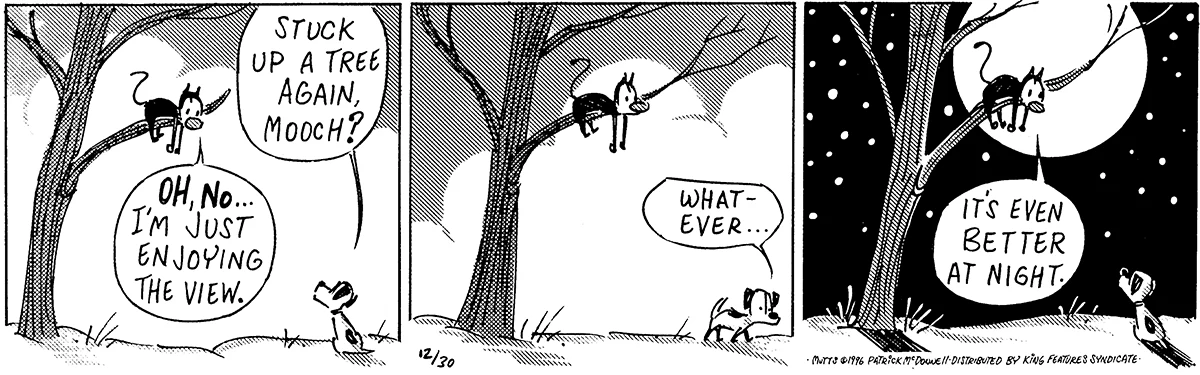December 30 1996, Daily Comic Strip